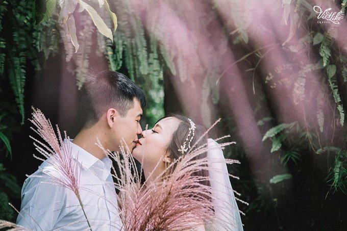 16 địa điểm chụp ảnh cưới đẹp cho các cặp đôi sắp cưới 2020