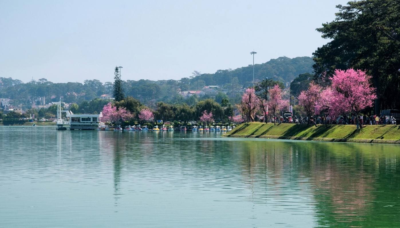 Gợi ý Những địa điểm Chụp Hình Cưới đẹp ở Đà Lạt: Lưu Giữ Tình Yêu Trọn đời