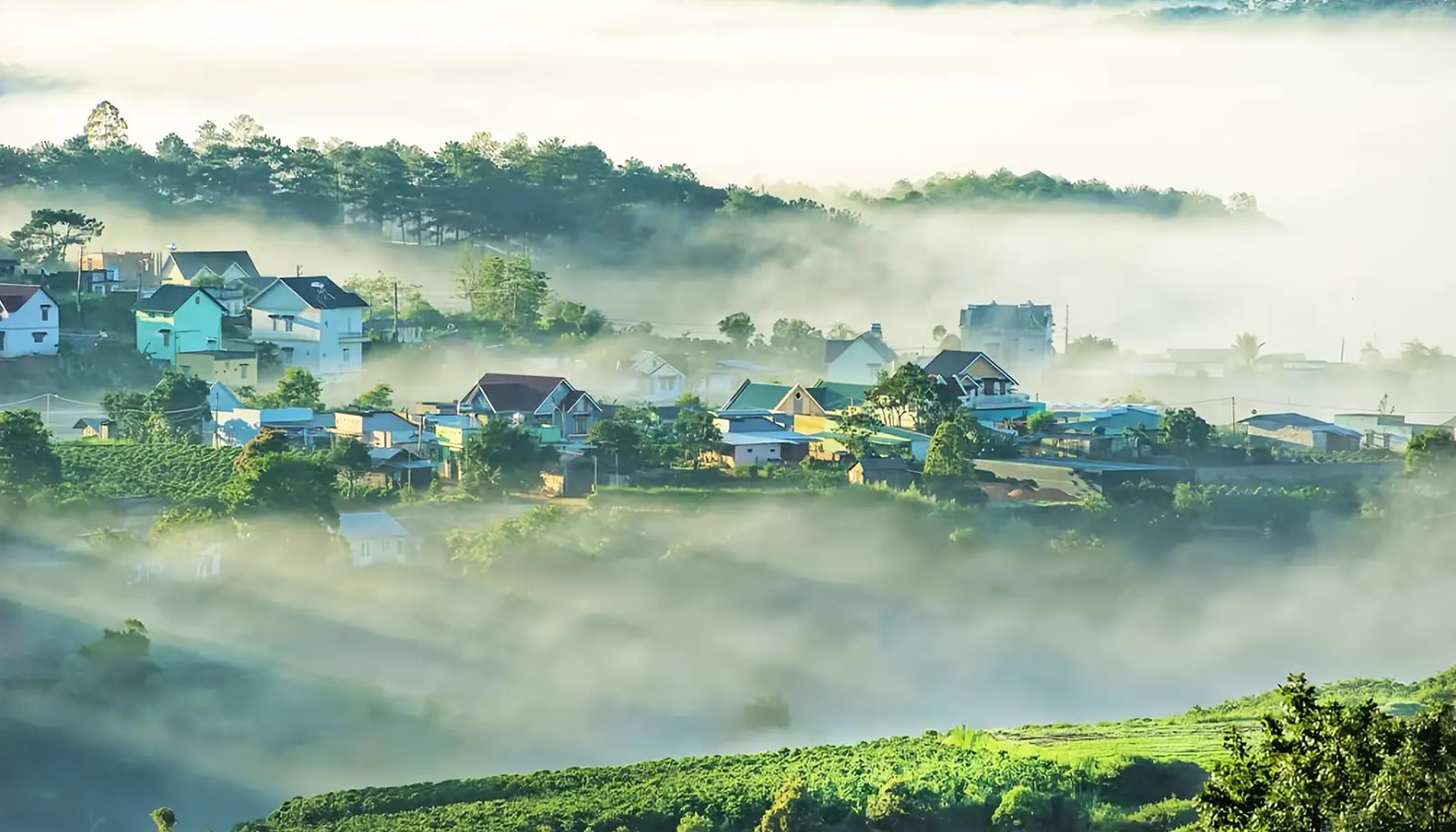 Gợi ý Những địa điểm Chụp Hình Cưới đẹp ở Đà Lạt: Lưu Giữ Tình Yêu Trọn đời